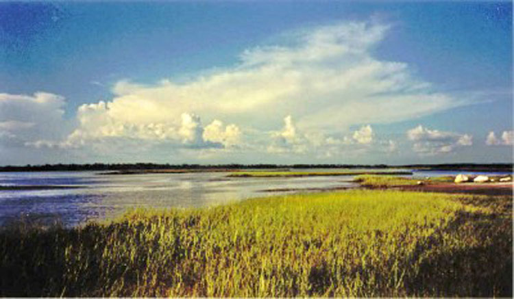 Cedar Keys