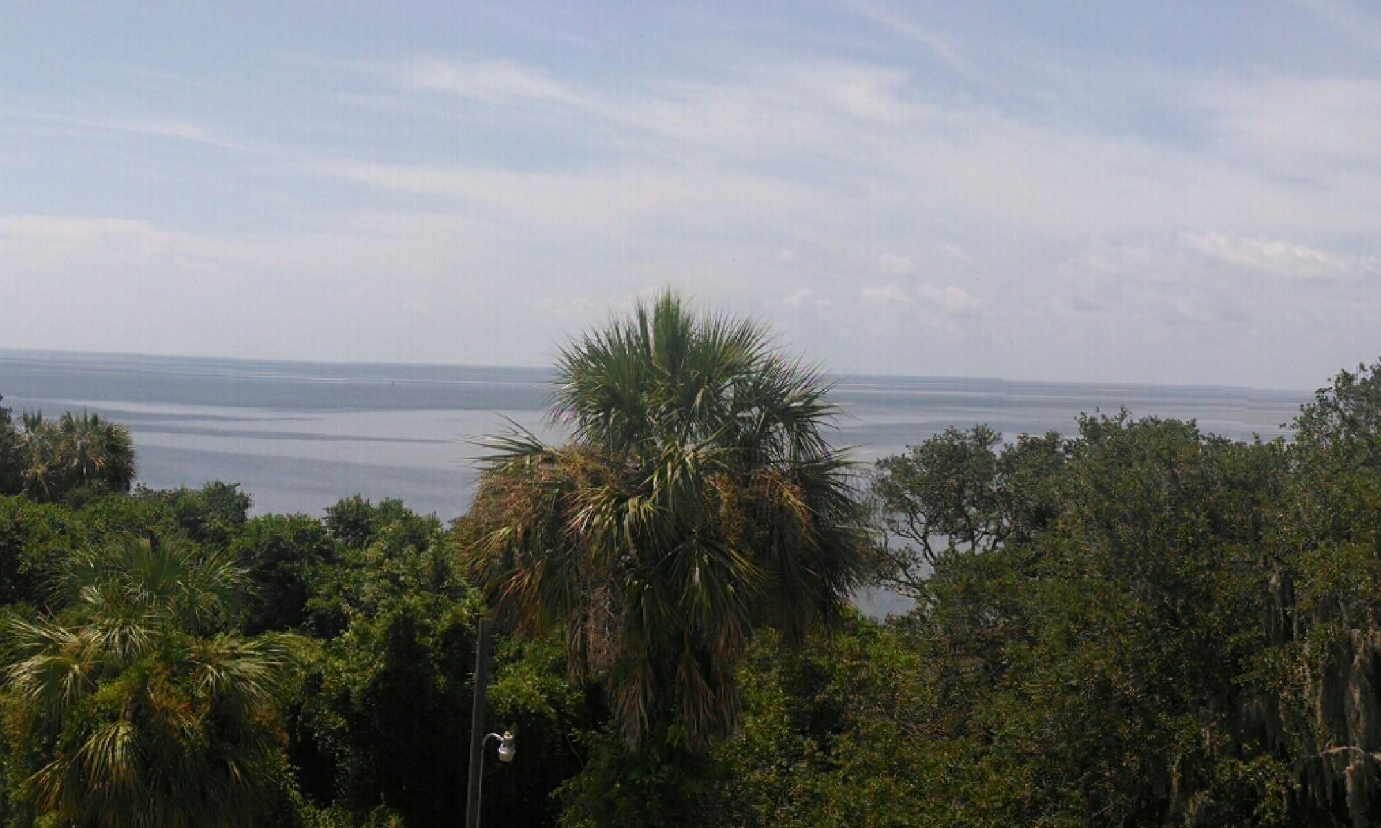 Florida's Nature Coast Conservancy