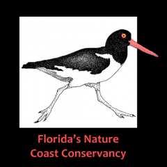 Florida’s Nature Coast Conservancy